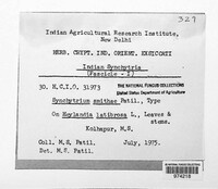 Image Associated With the Occurence